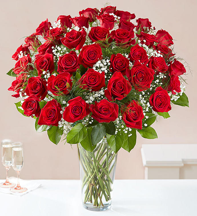 50 Long Stem Rose Vase