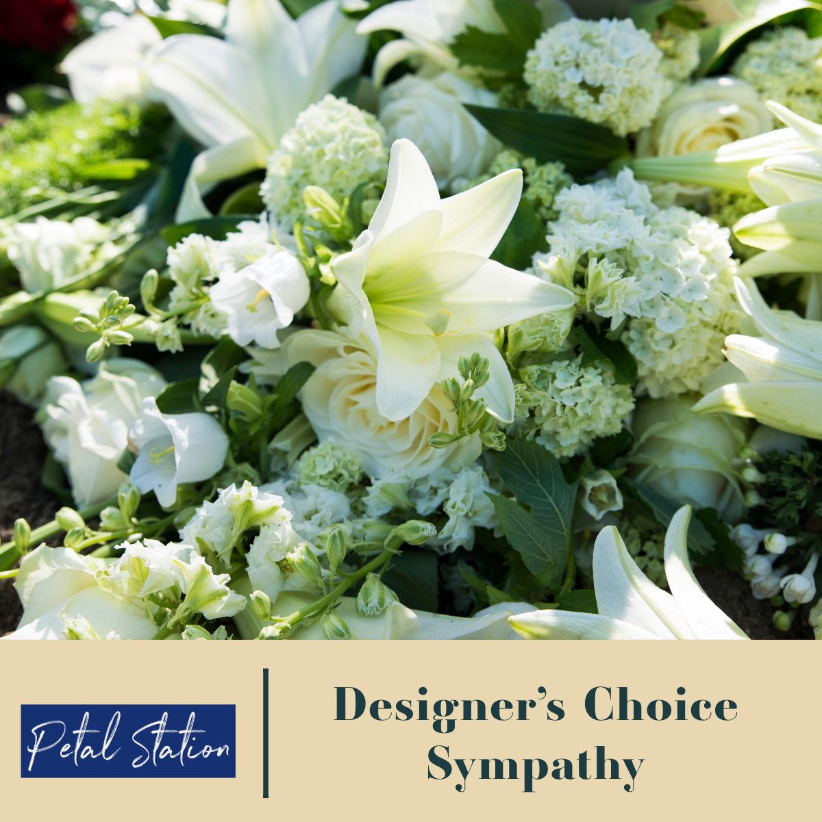 Designer Choice - Sympathy