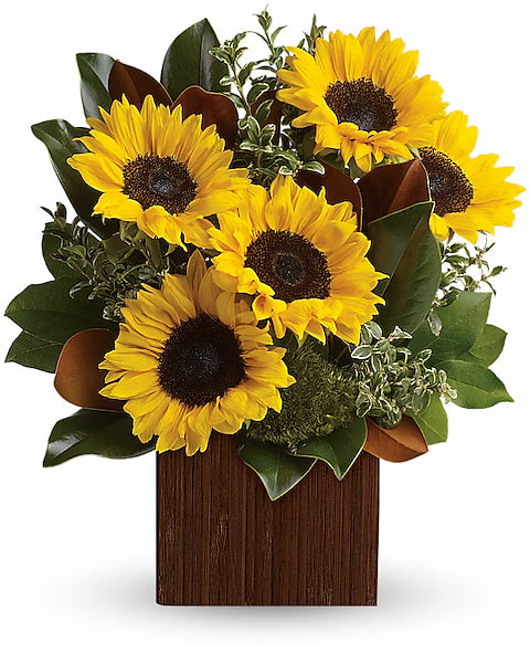 Bouquet of sunflowers in a wooden box on a white background