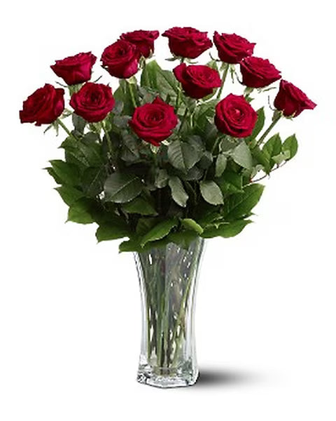 Bouquet of red roses in a clear vase on a white background